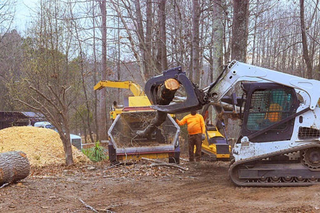 Residential property after professional tree removal with logs processed and the hazardous tree safely removed in Webster Groves, MO.