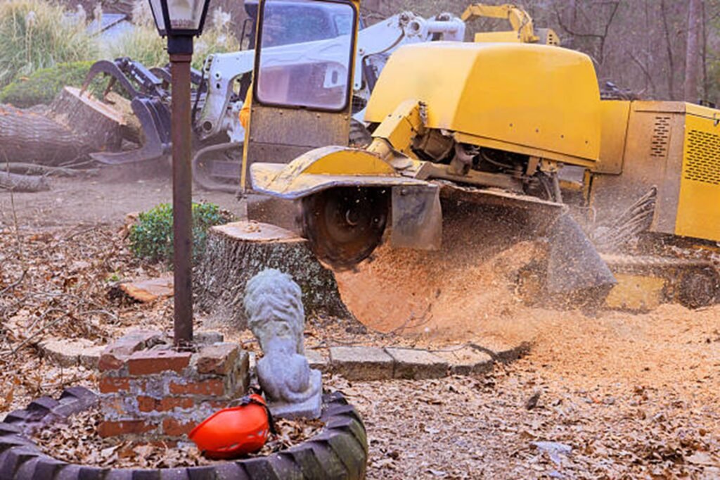 Professional stump grinding machine removing a large tree stump while clearing wood chips during a residential stump grinding project in Kirkwood, MO.