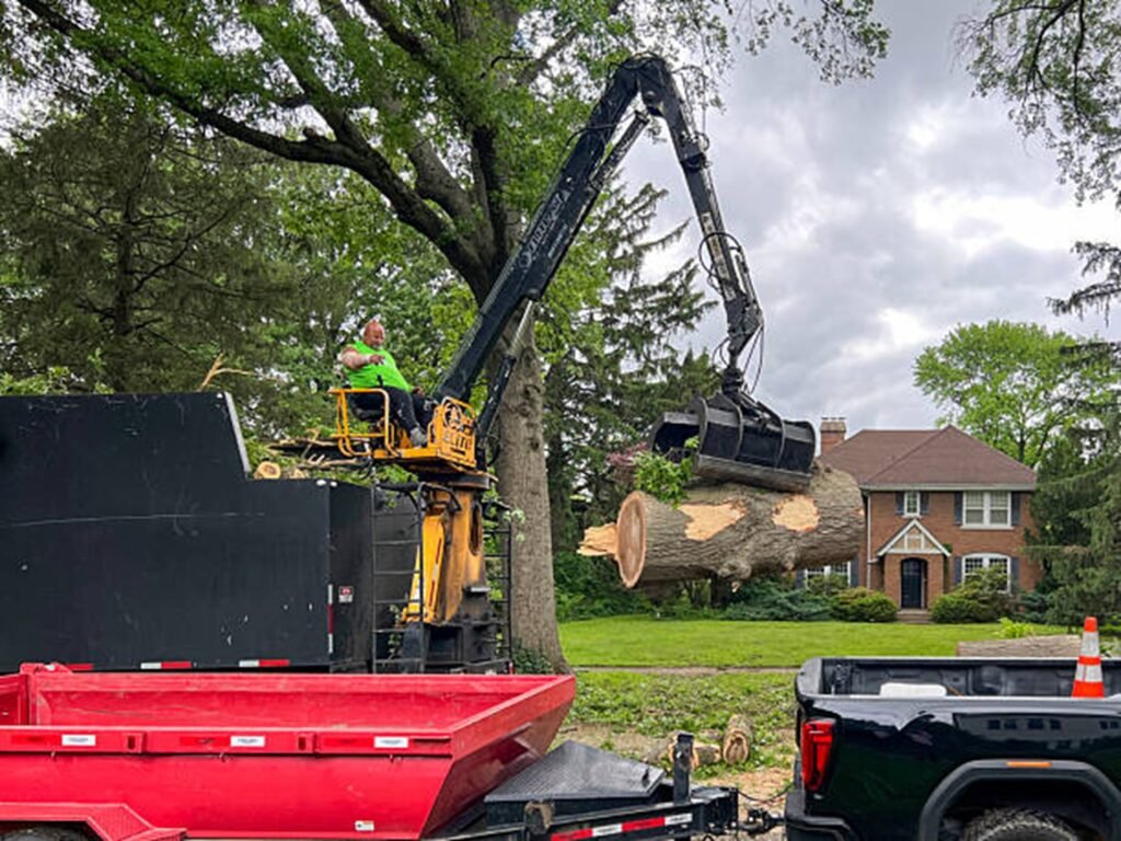 Professional tree removal crew using heavy equipment to safely lift and remove large tree sections during a residential tree removal project in Kirkwood, MO.