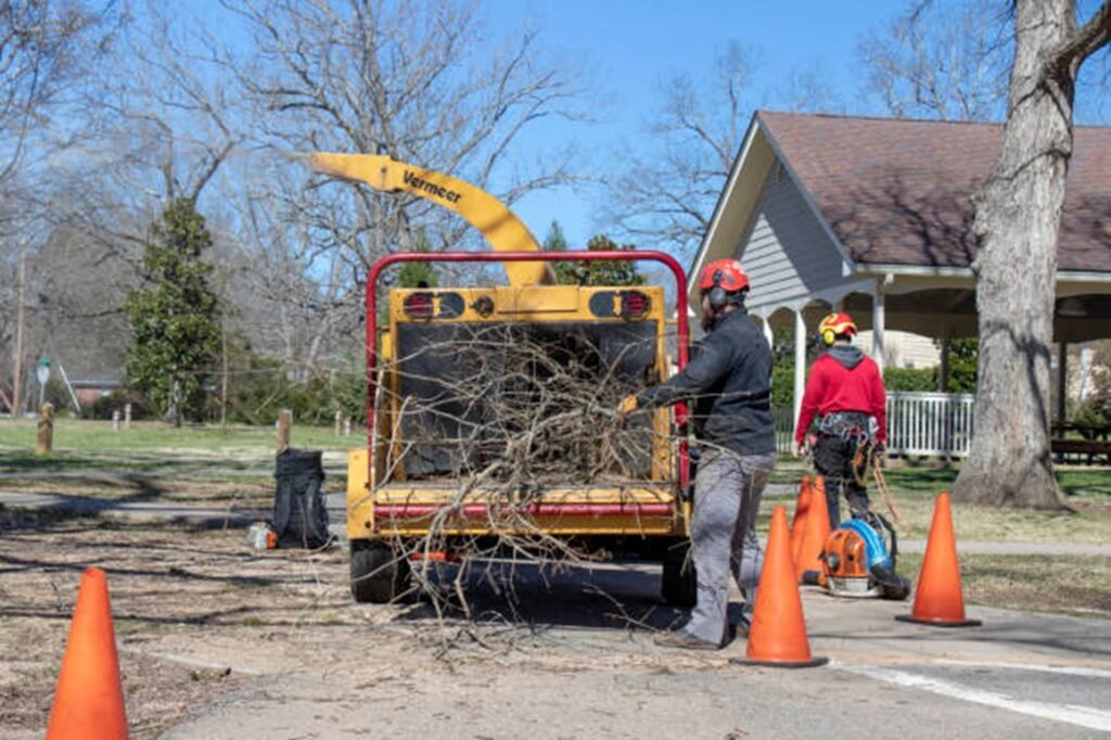Webster Groves Tree Service crew loading tree branches into a wood chipper after completing a residential tree service project in Webster Groves, MO.