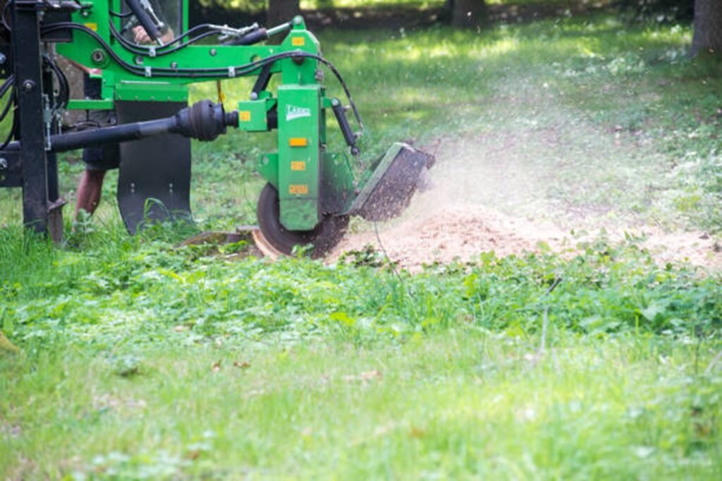 Professional stump grinding machine removing a tree stump below ground level during stump grinding and removal service in Webster Groves, MO.