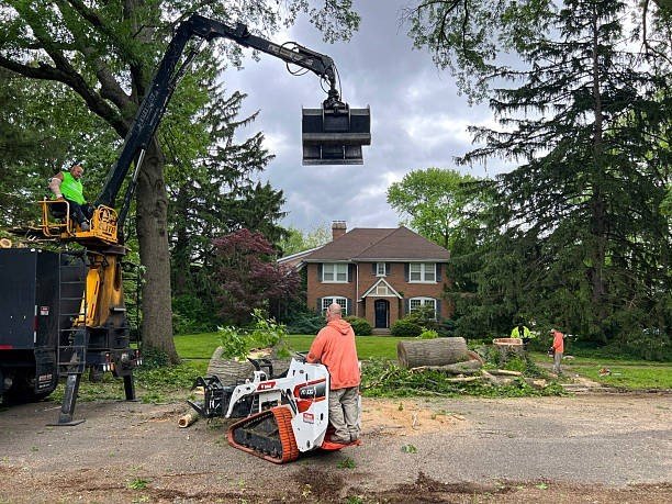 Professional tree care crew using heavy equipment to remove trimmed tree sections during a tree trimming and pruning project in Kirkwood, MO.