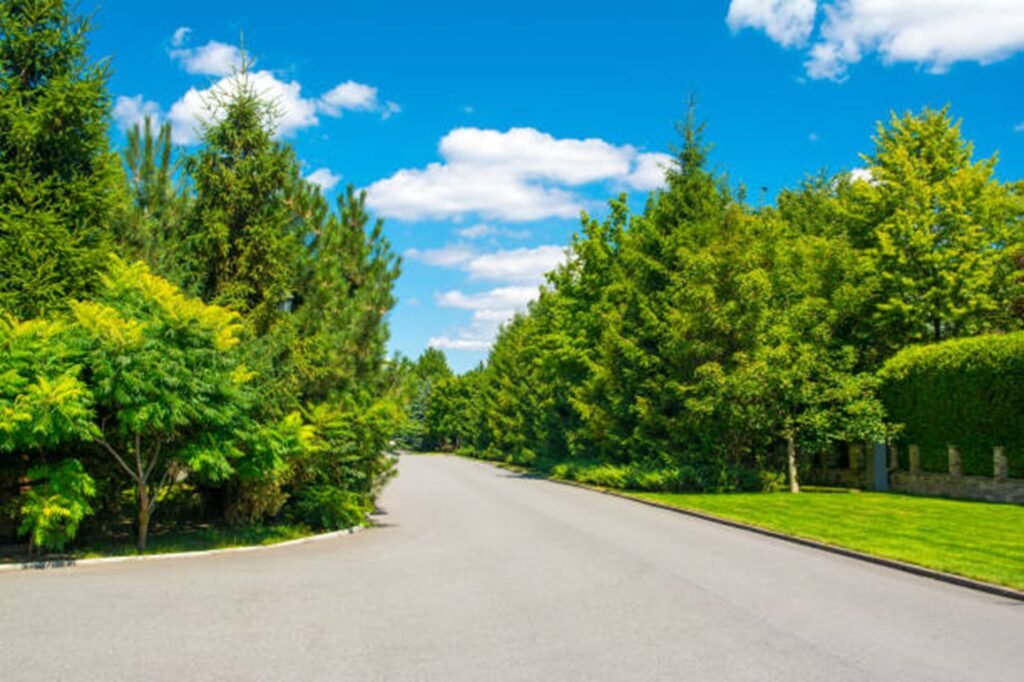 Beautiful tree-lined residential neighborhood representing the communities served by Webster Groves Tree Service throughout Webster Groves, MO.
