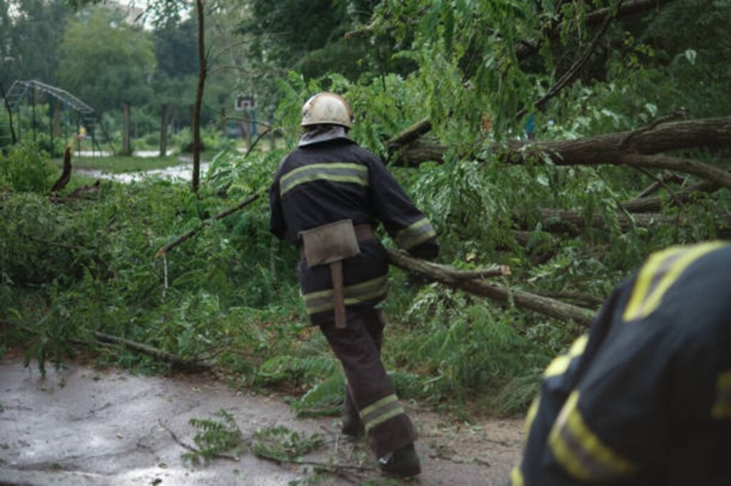 Professional crew clearing fallen trees and storm debris from a residential roadway during storm damage cleanup in Webster Groves, MO.