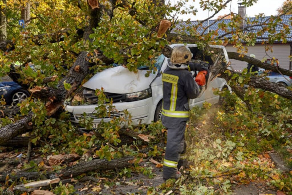 Emergency tree service crew removing a large fallen tree from a damaged vehicle after severe storm damage in Webster Groves, MO.