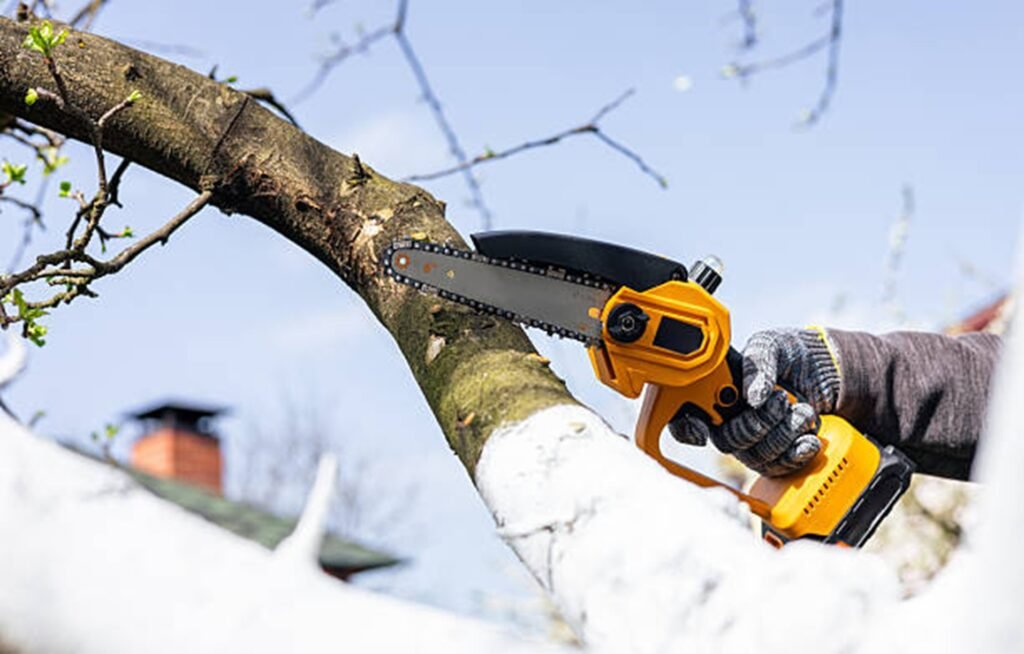 Professional arborist pruning a tree branch with a handheld chainsaw during residential tree trimming service in Webster Groves, MO.