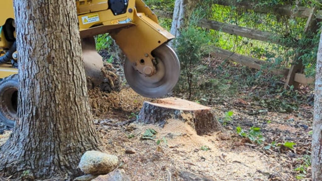 Commercial stump grinder removing a tree stump below ground level during professional stump grinding and removal service in Webster Groves, MO.