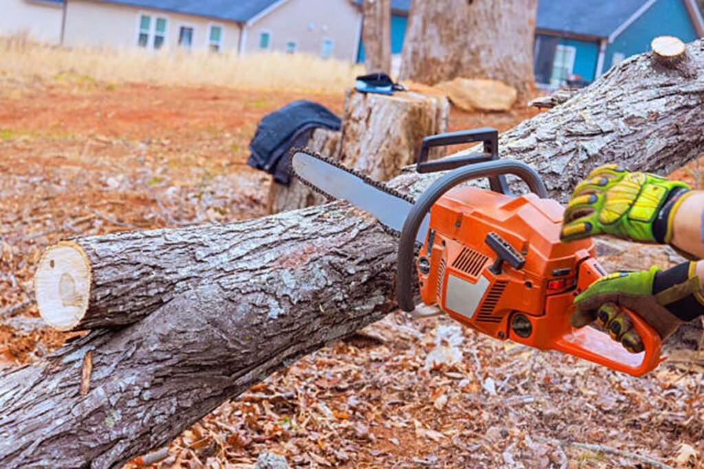 Professional chainsaw cutting through a fallen tree during emergency tree removal service at a residential property in Webster Groves, MO.