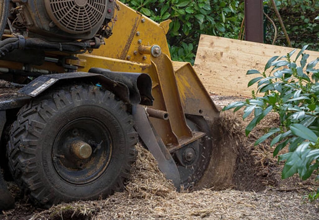 Professional stump grinding machine removing a tree stump from a residential yard during stump grinding and removal service in Webster Groves, MO.