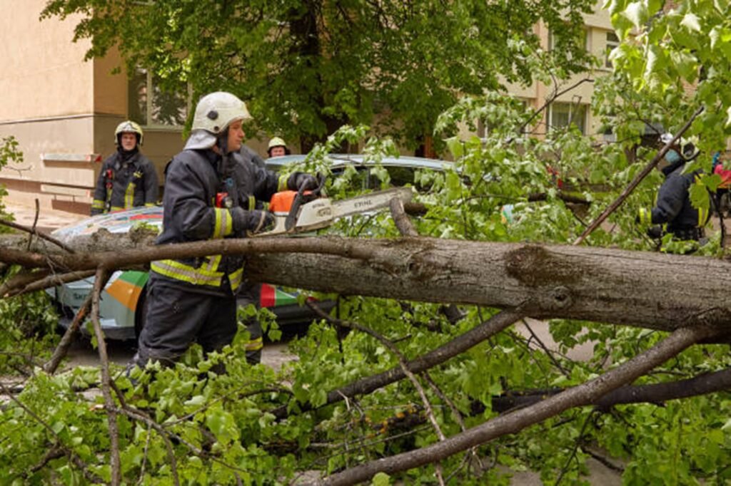 Emergency tree service crew safely cutting and removing a fallen tree blocking a residential street in Webster Groves, MO after severe storm damage.
