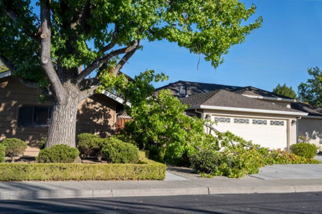 Storm-damaged tree with broken limbs blocking a residential driveway before professional storm damage cleanup in Kirkwood, MO.